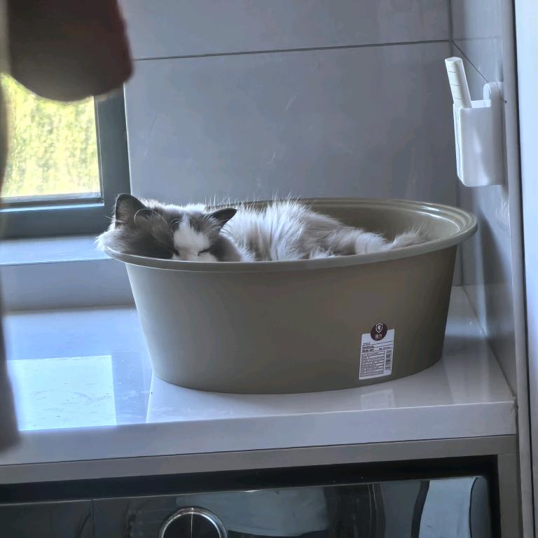 网购总被骗