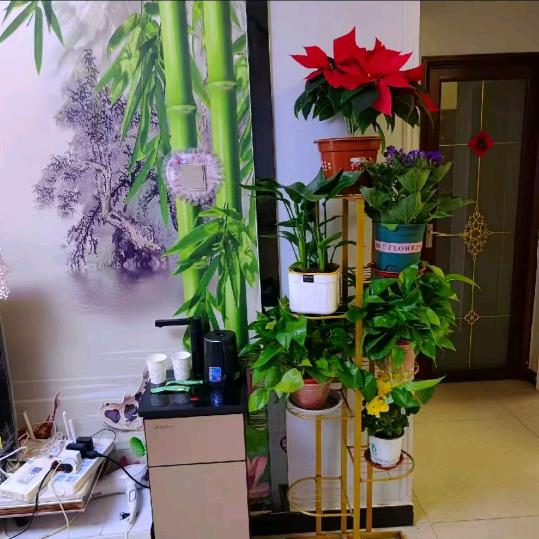 深州一手二手房郭姐（收房）