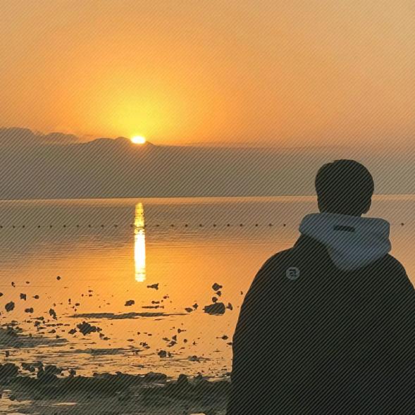 你曜丸了（牛角粥行动）