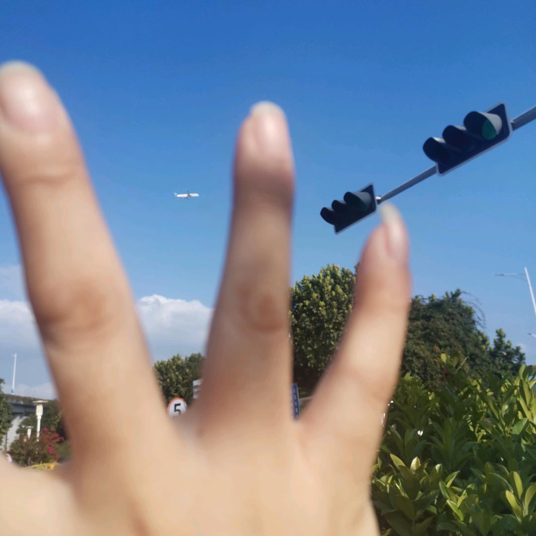 瑾瑶ᐡ>⸝⸝⸝⸝<ᐡ  花开半夏微凉