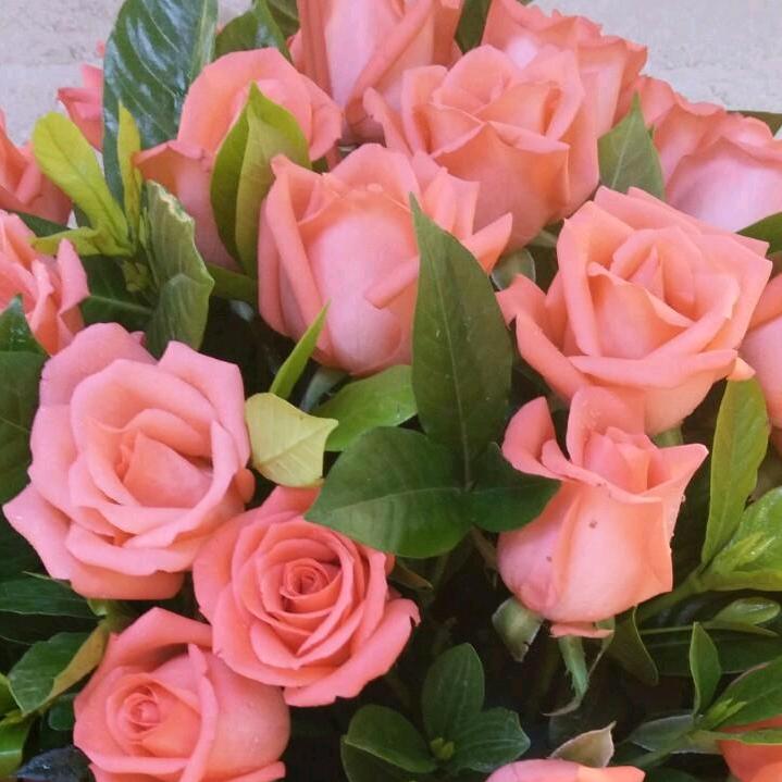 陌上花开 🍭🍭