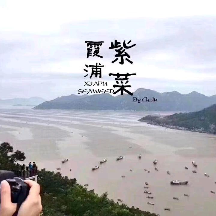 霞浦头水紫菜（无沙，免洗）