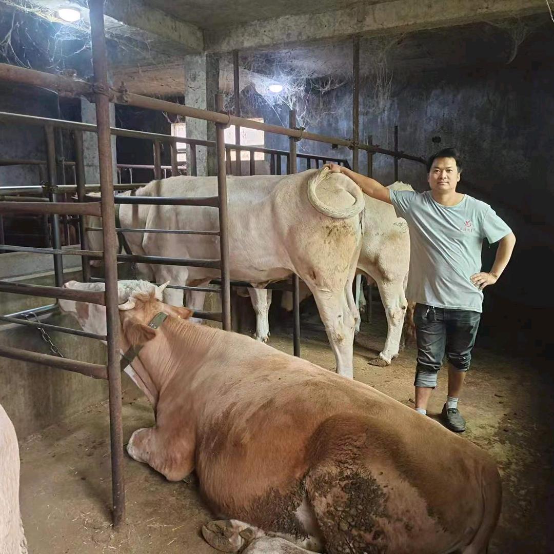 山权兽医团队·南华·一街·普忠良
