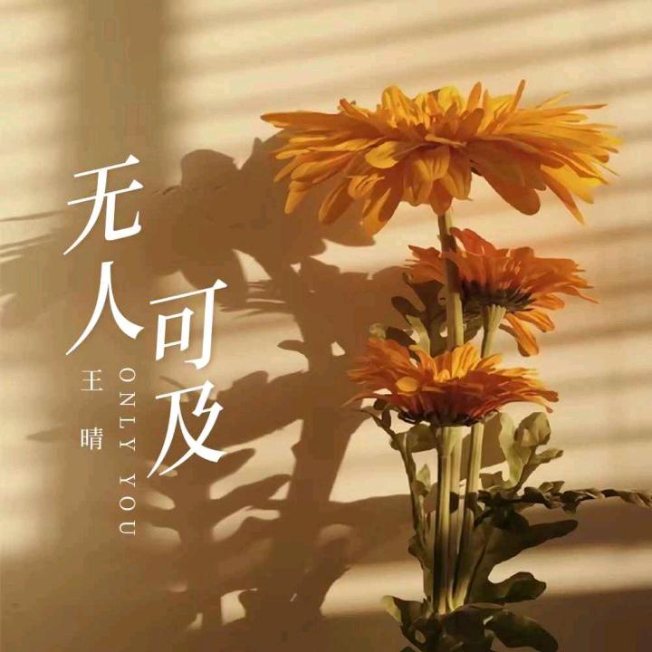 晓凤风