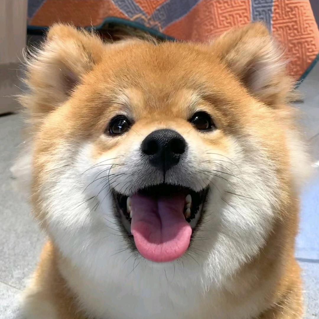 ᰔᩚ.凌晨ꦿ