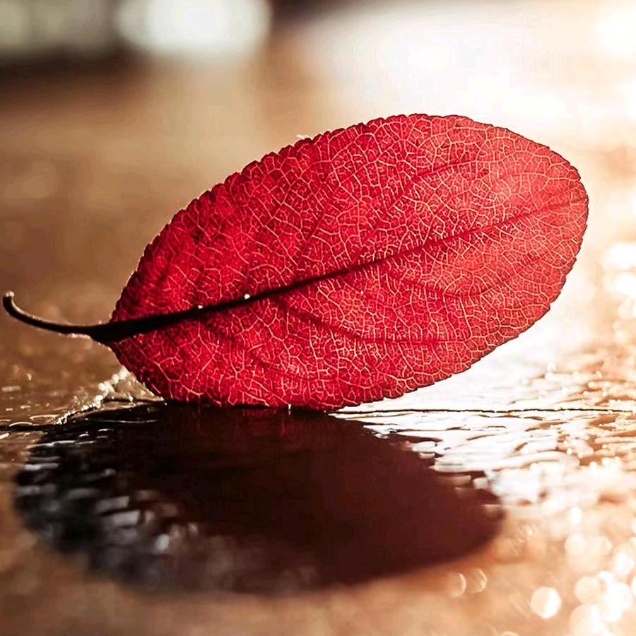 淡漠穿搭（橱窗营业中）