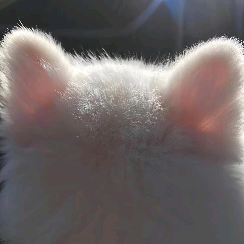 烧烤炸鸡小龙虾