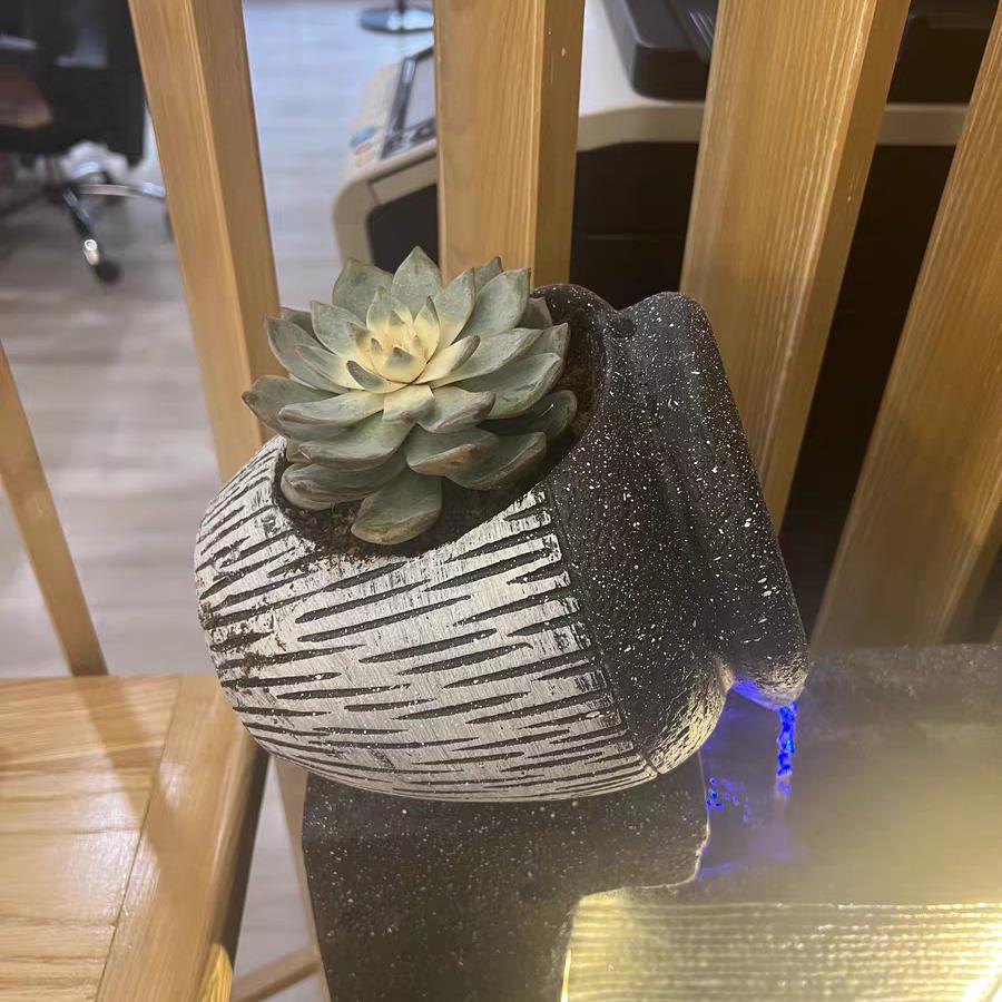 星星唐糖