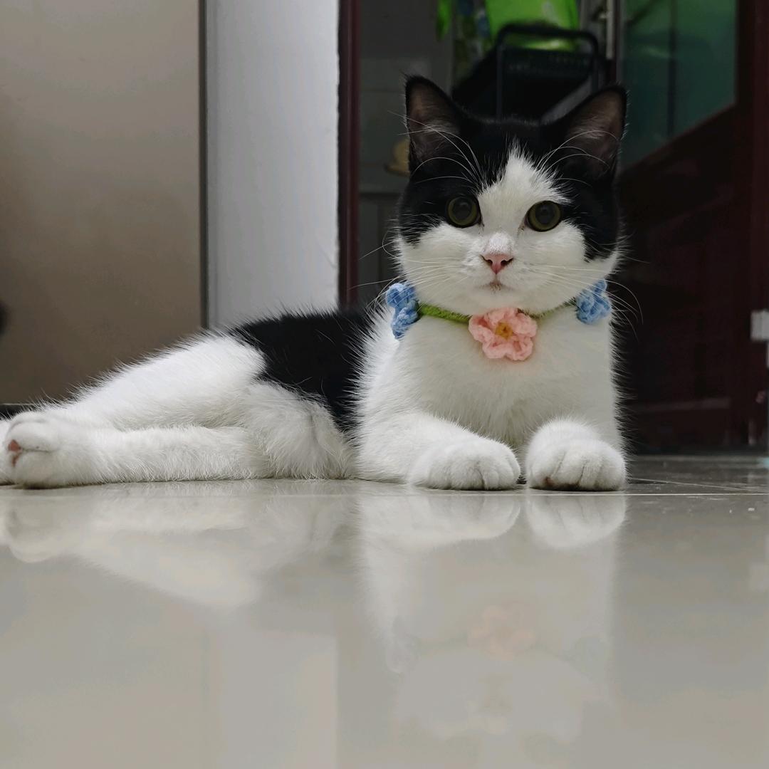 🌈我是福袋你记住😼