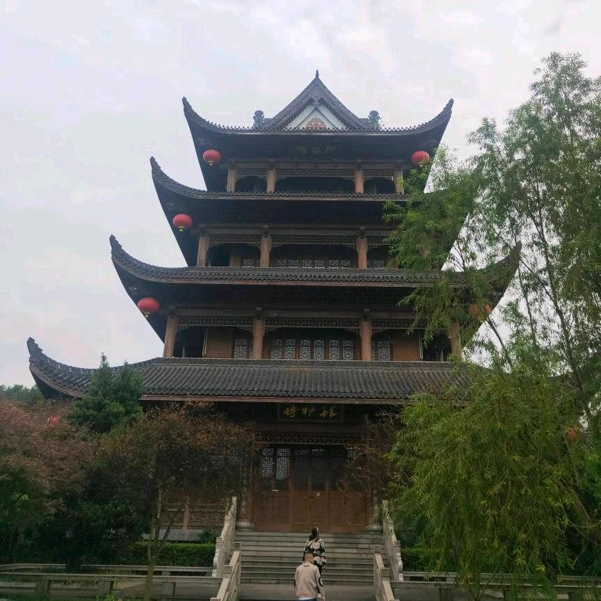 梦缘