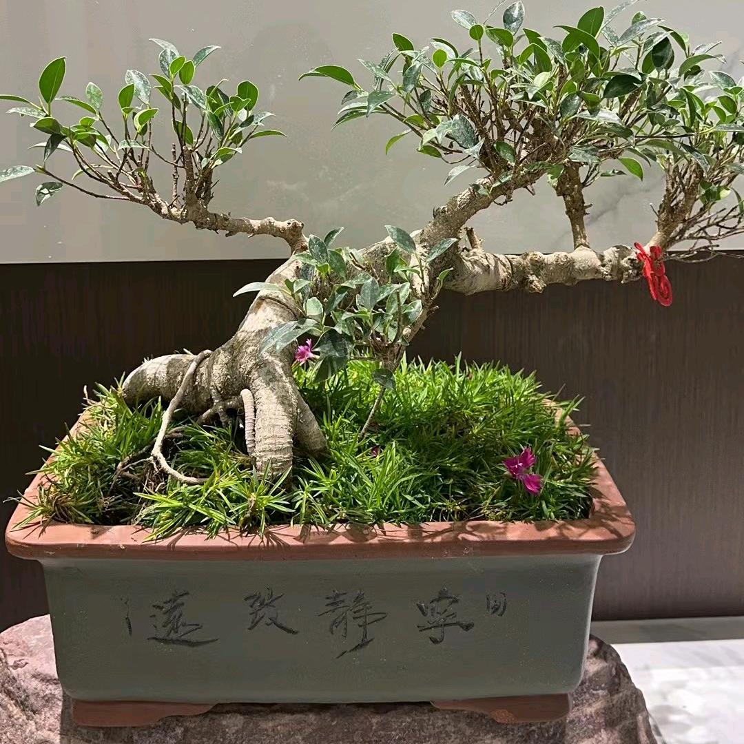 赐福