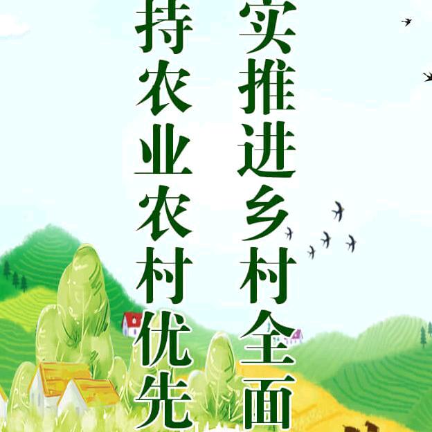 网约丐帮主