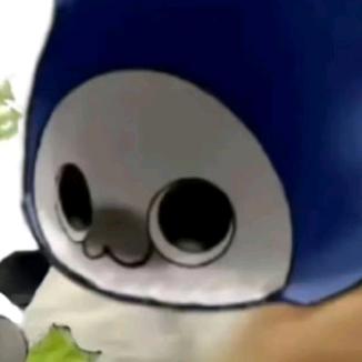 本少已封鸡锁爱