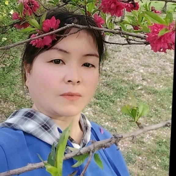 四叶草🍀🌺