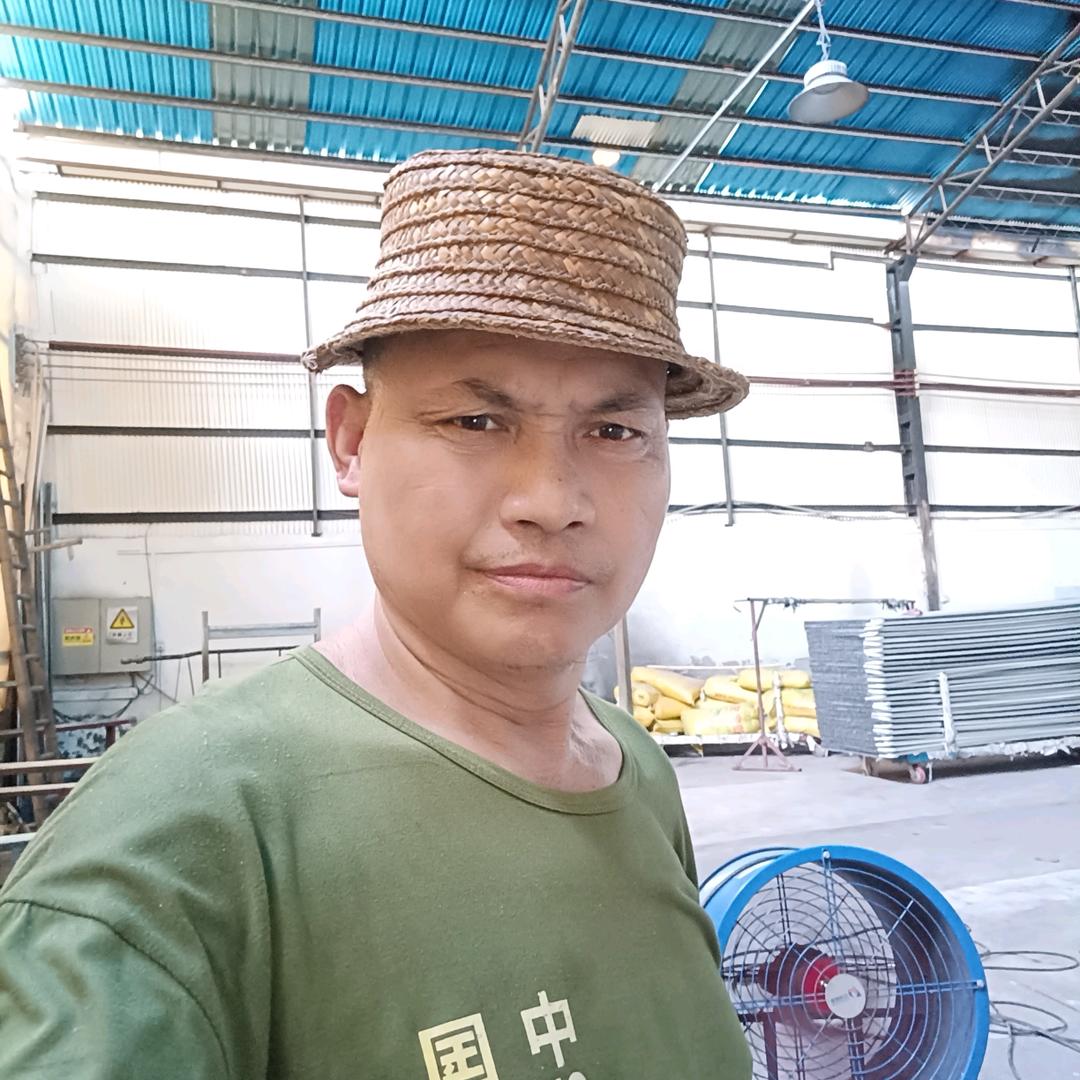 五毛