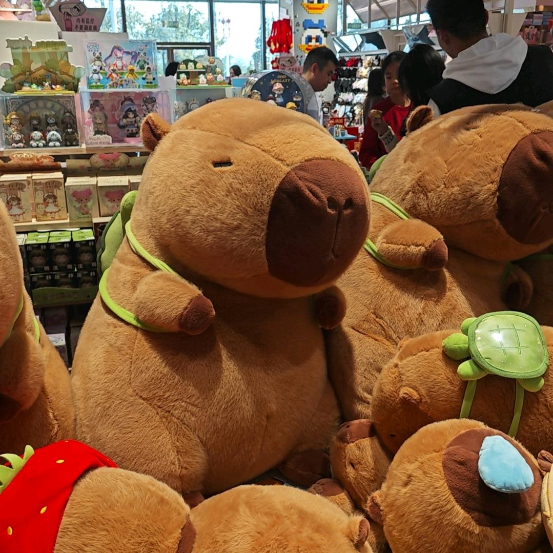 说唱宝藏屋