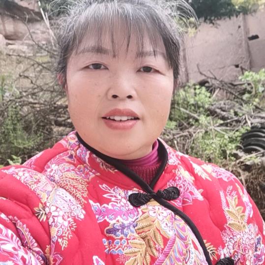 傻村姐