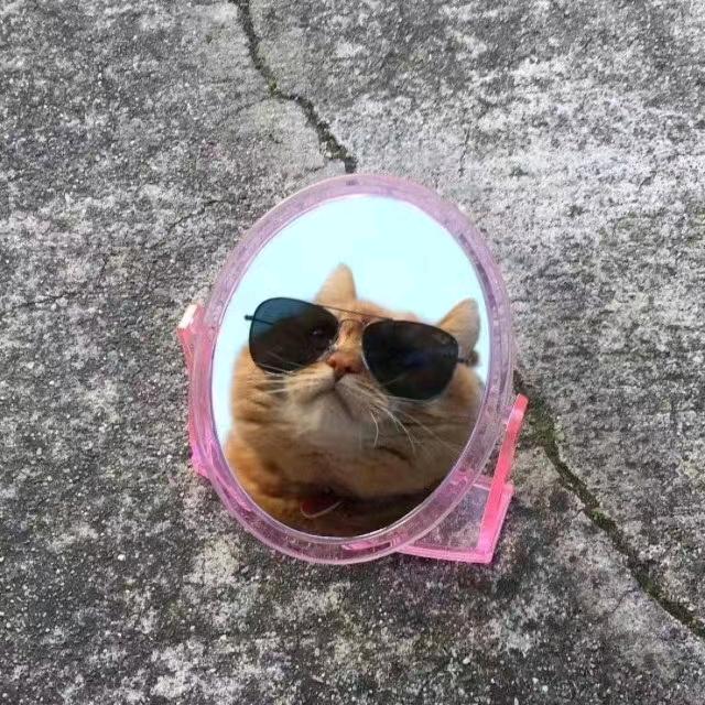 张十三