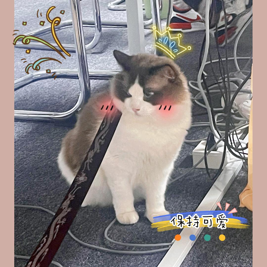 今天不止一点难过