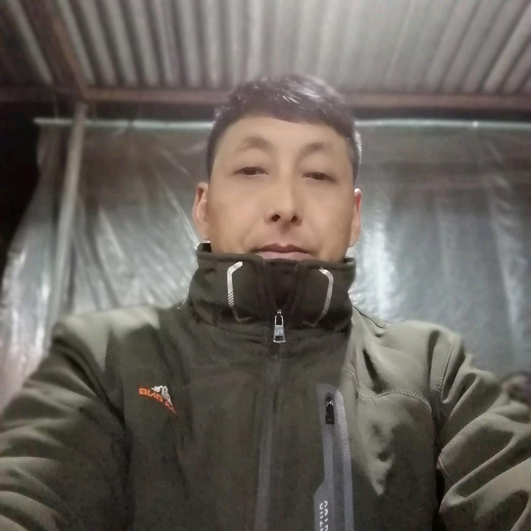 自由飞翔