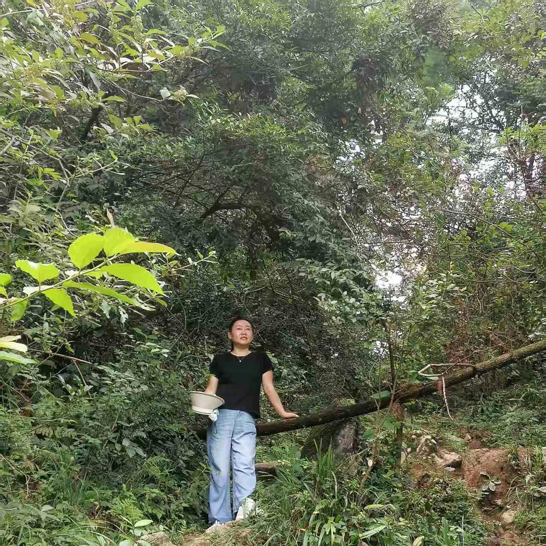 好运常在