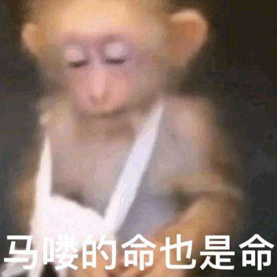 半永久少年