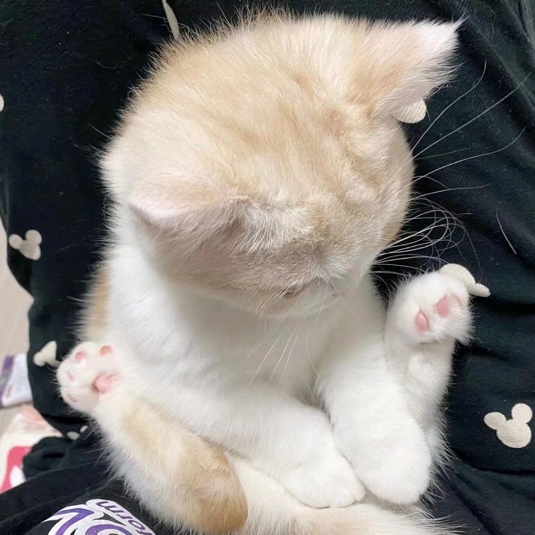 我妈说名字起太长就是非主流