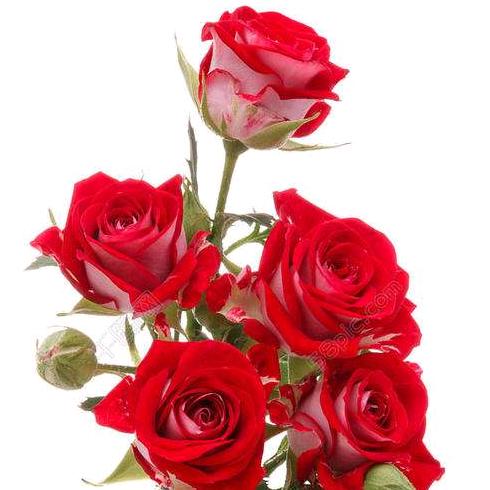 用户272516605180911