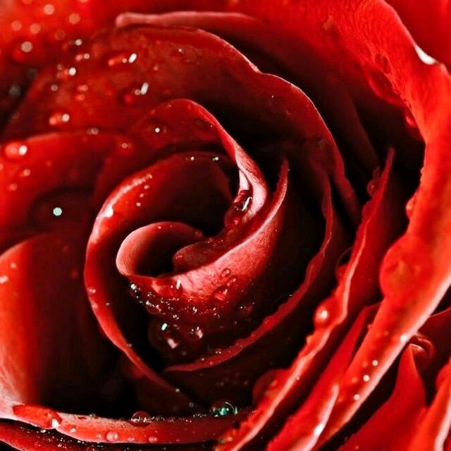 ღ᭄💞₅²⁰武糖可乐¹ᶟ₁₄💕
