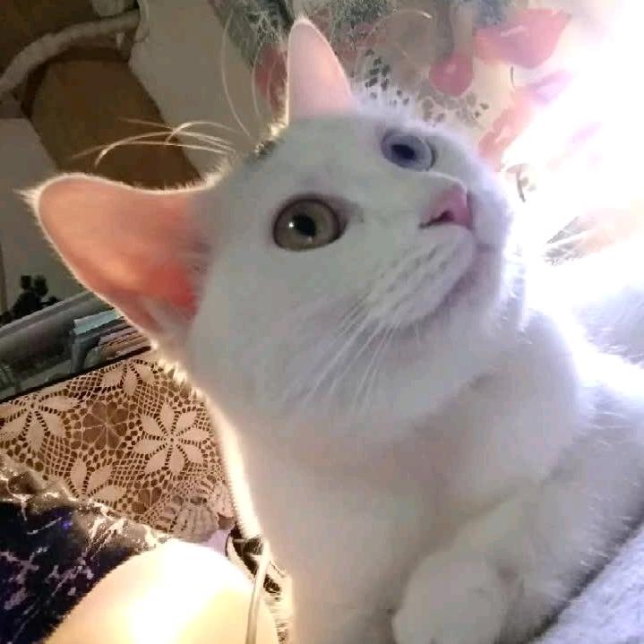 彼此同行