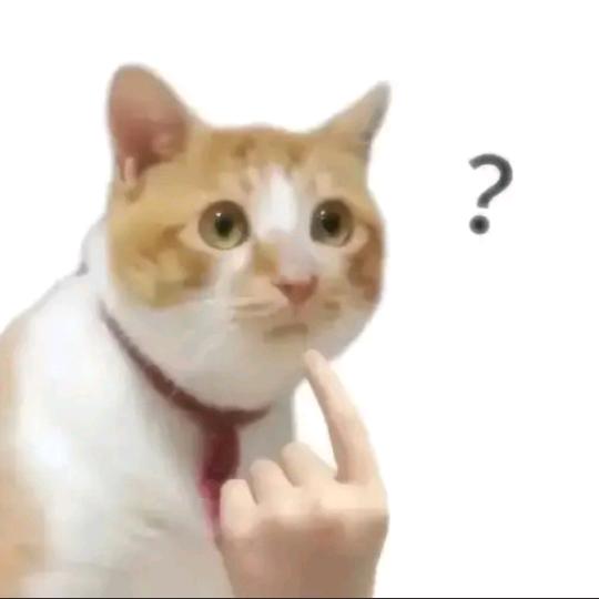 oi