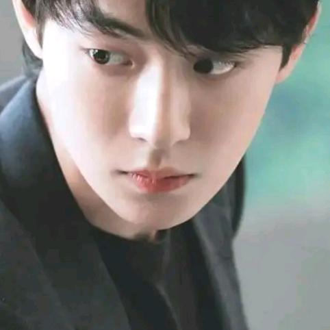 🍂🍁随楓🍁🍂