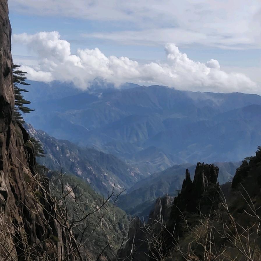 黄山罗哥