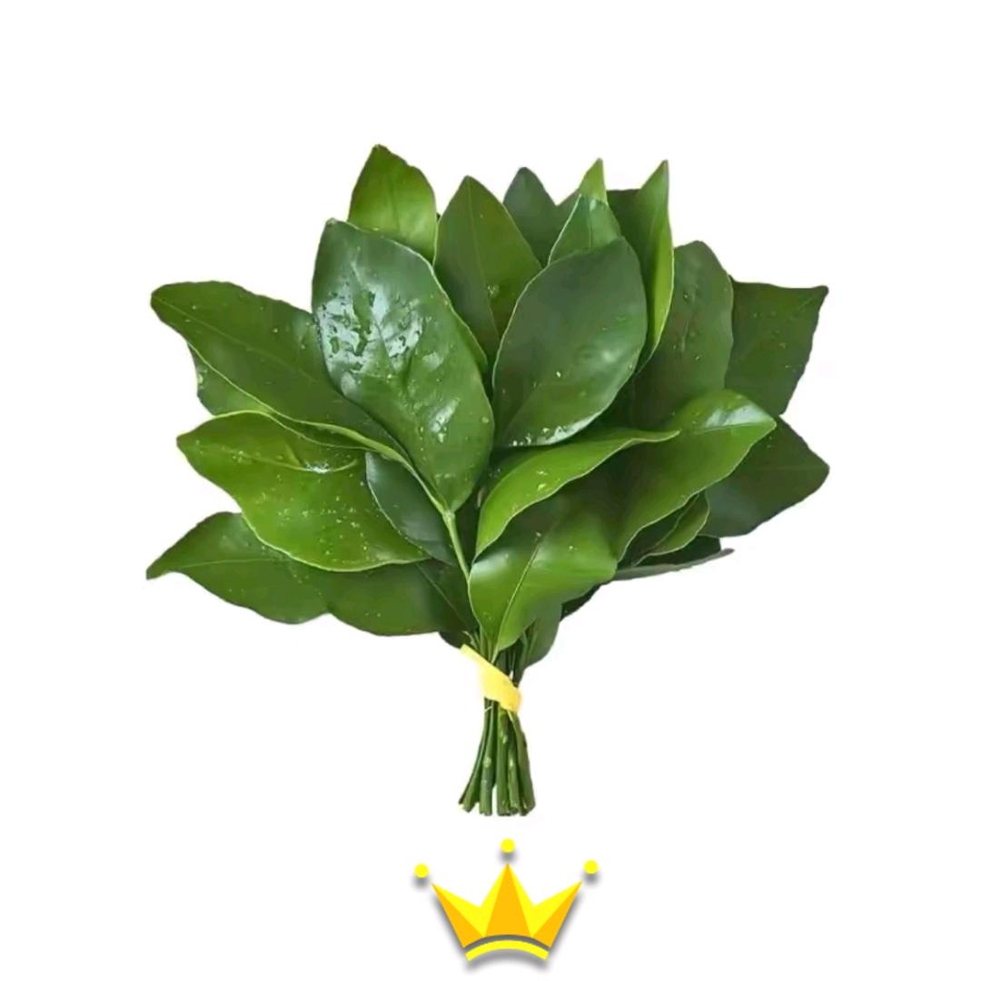 柚子的味道