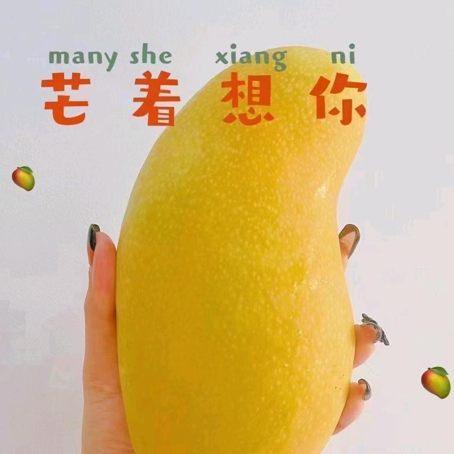 海南陈兴跃水果供应链有限公司