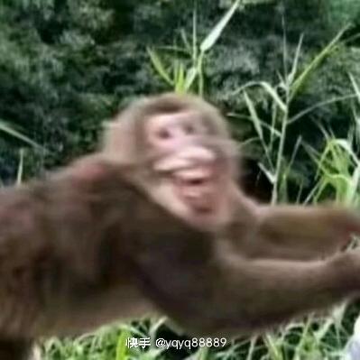 马喽
