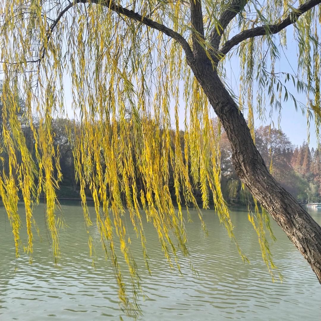 爱琴海