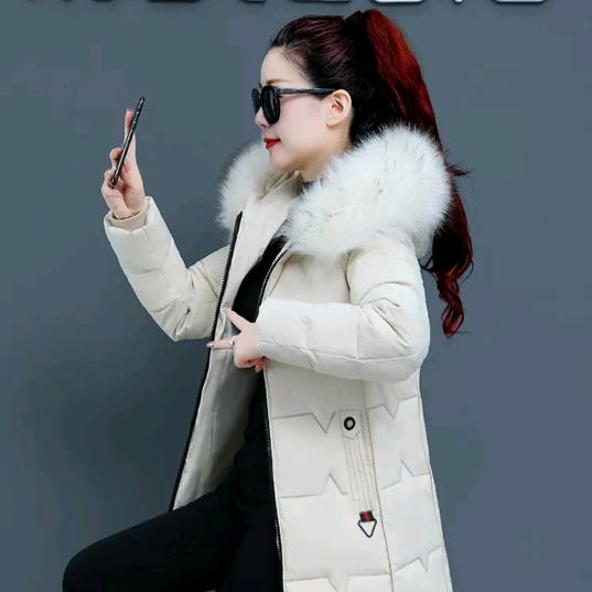 霞妮女装服饰
