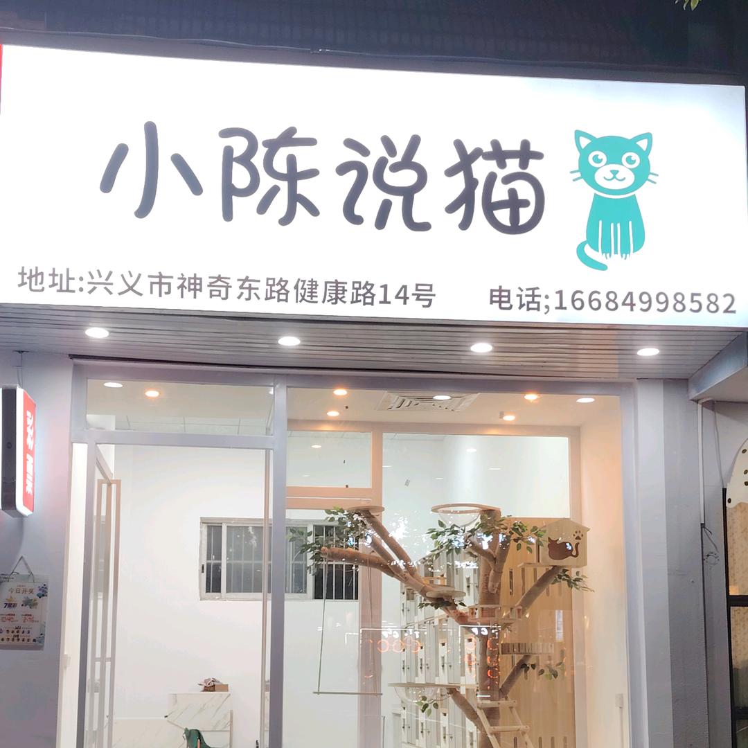 兴义卖猫小陈