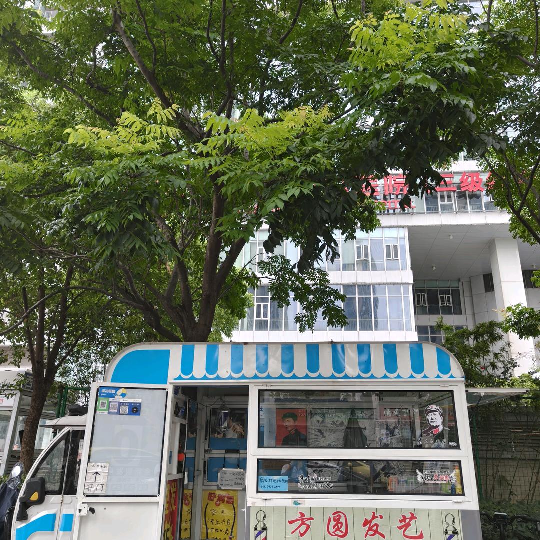 菩提剪发✅自学“存财”🌹无师自通