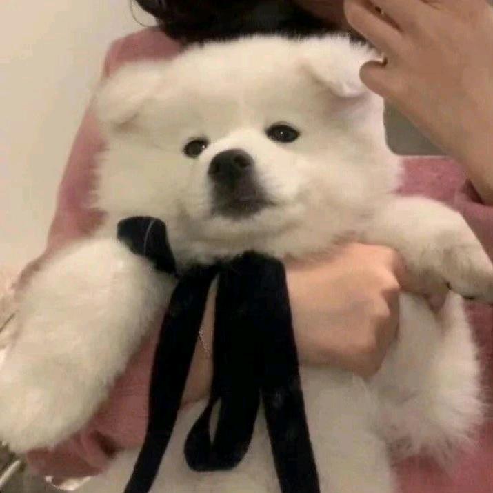 #B阿可
