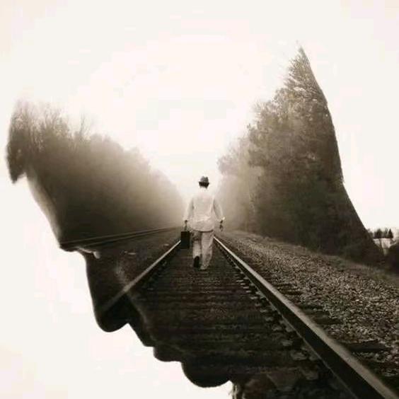 爱吃鲍鱼的小脚丫