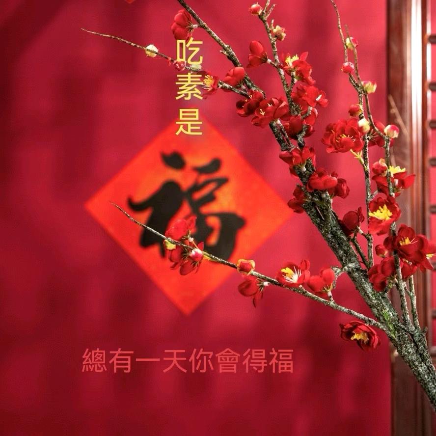 静蕊