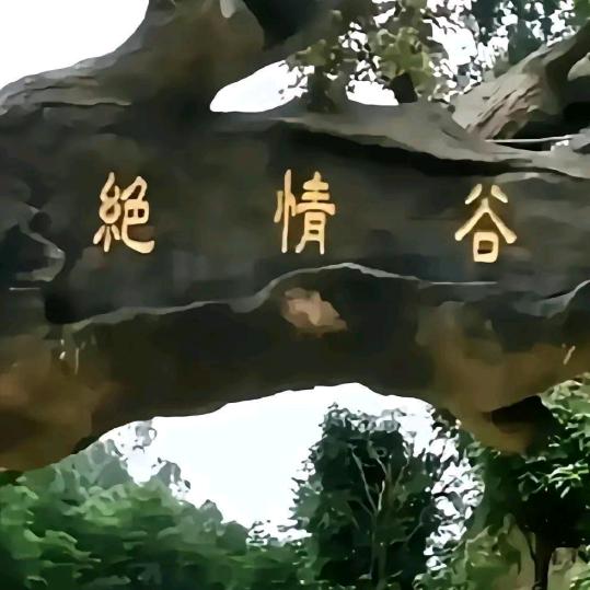 美好明天16646