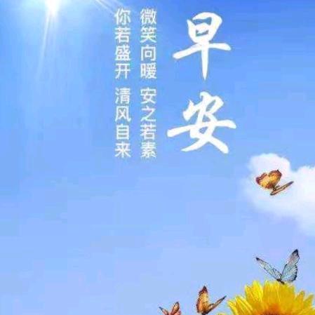 阿辉车行（绿佳小鸟）