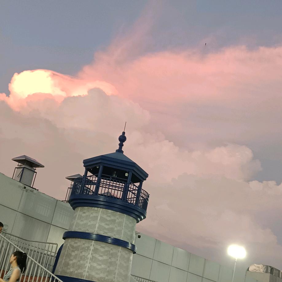 🌻向日葵（众包）