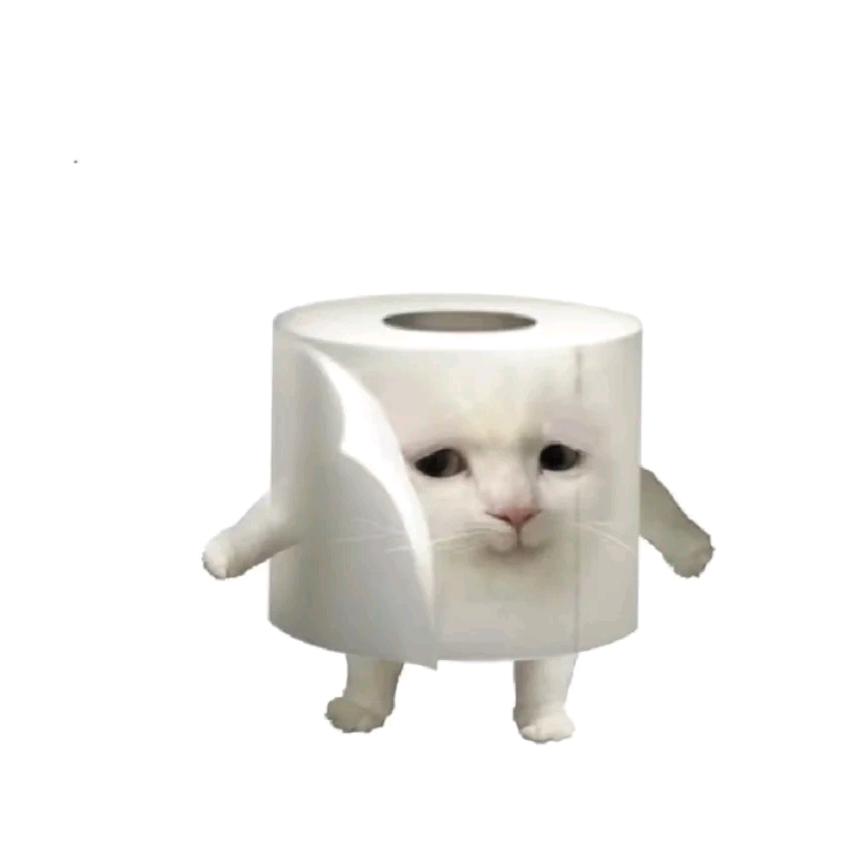 我似夜猫纸