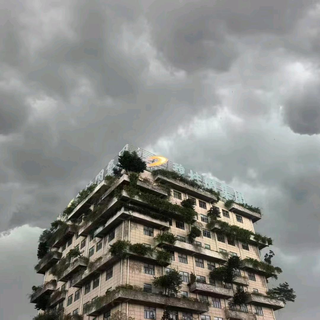 捭阖头像