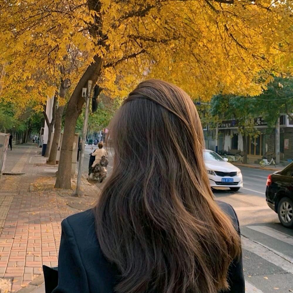.星辰✨