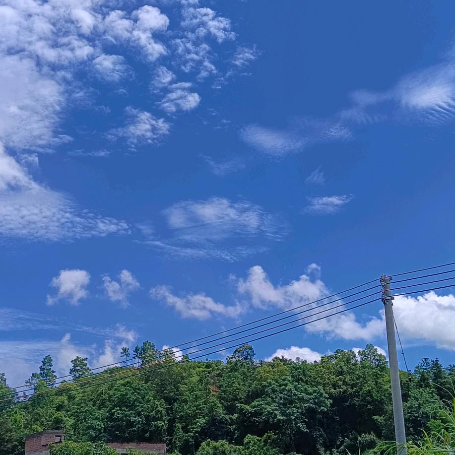 未来可期——